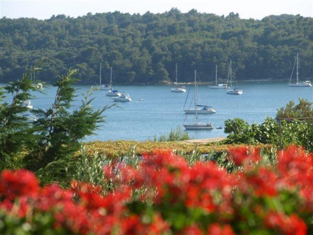 Villa Triton Vinkuran Bagian luar foto
